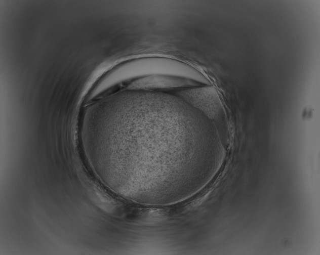 X0000089950056200707131525