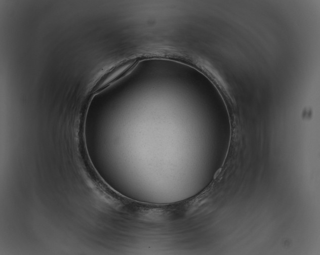 X0000089950058200707131525