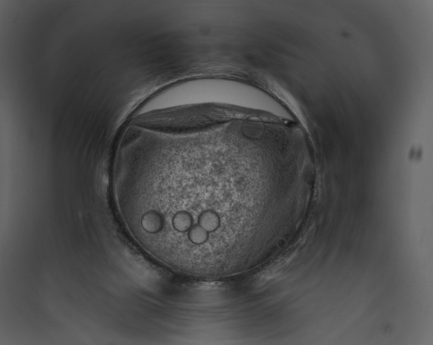 X0000089950059200707131525