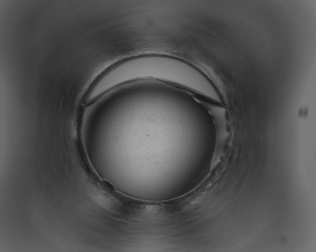 X0000089950060200707131525