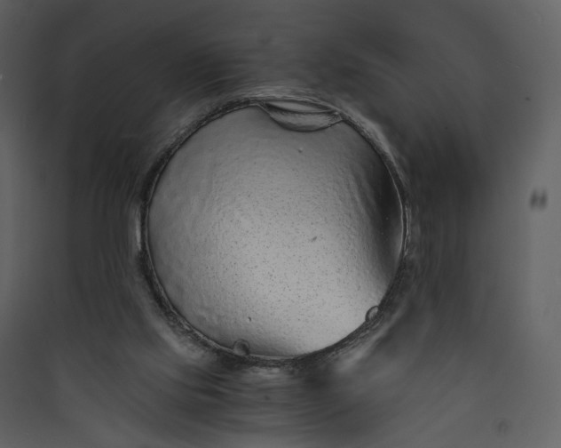 X0000089950061200707131525