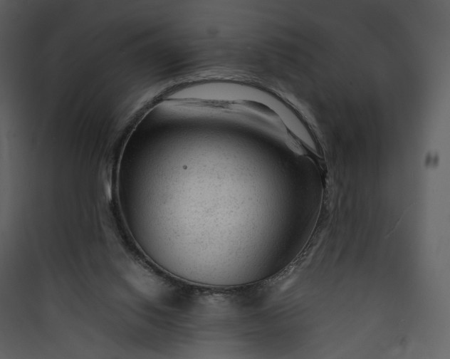 X0000089950062200707131525
