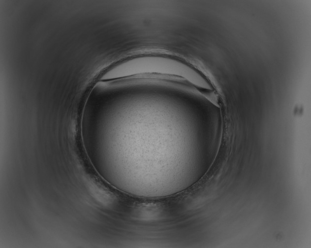 X0000089950063200707131525