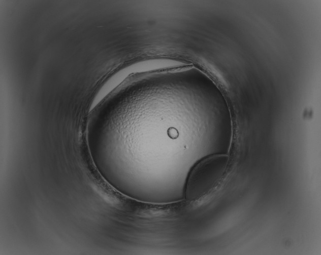 X0000089950065200707131525