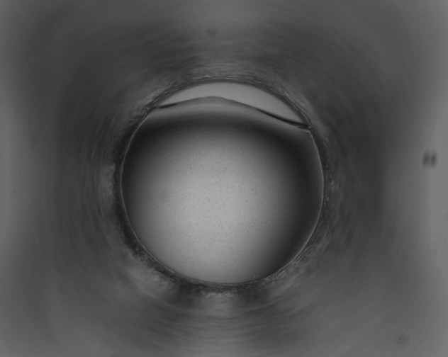 X0000089950066200707131525