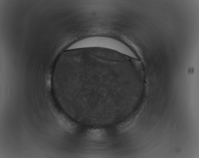 X0000089950067200707131525