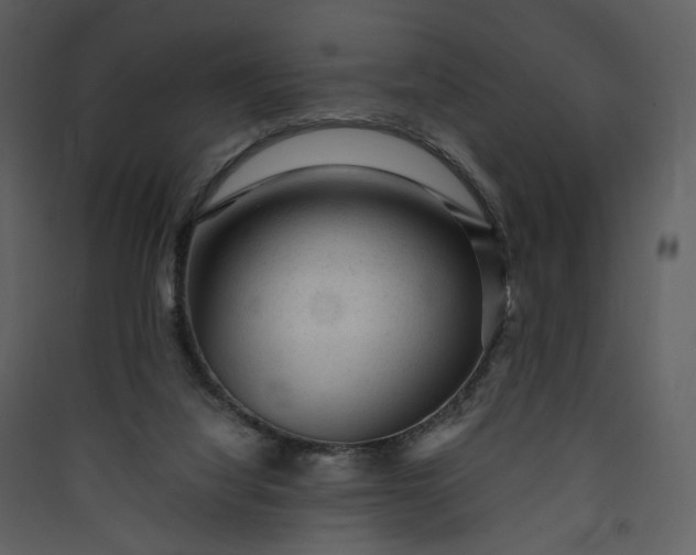 X0000089950068200707131525