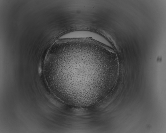 X0000089950069200707131525
