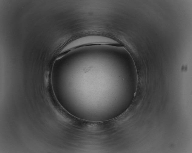 X0000089950070200707131525