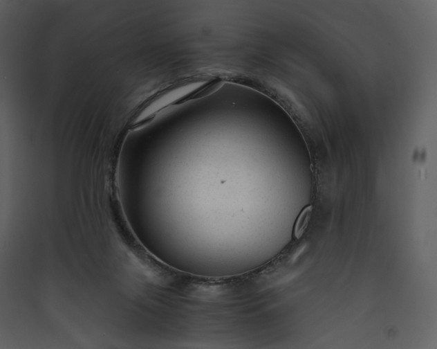 X0000089950071200707131525