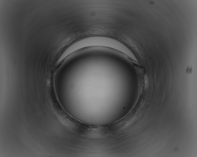 X0000089950072200707131525