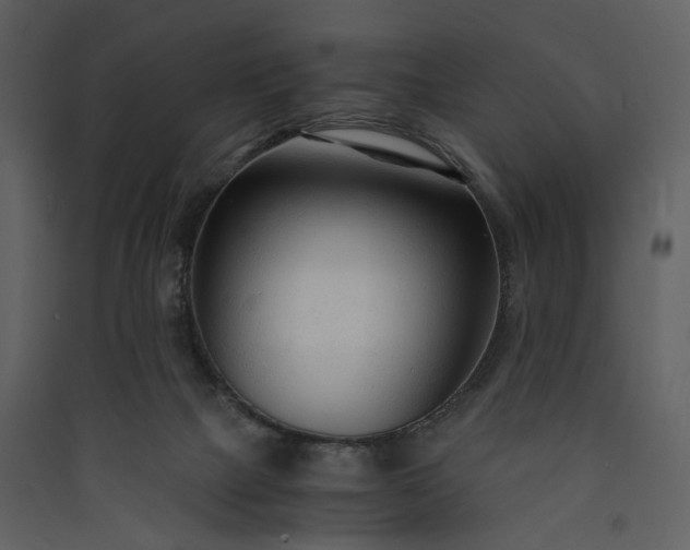 X0000089950073200707131525