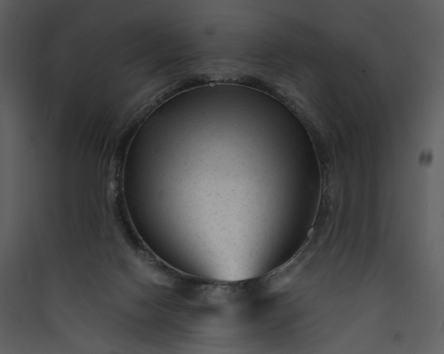 X0000089950074200707131525