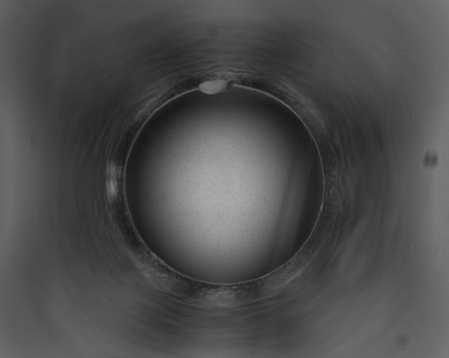 X0000089950075200707131525