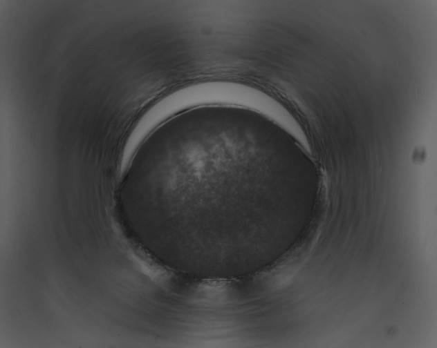 X0000089950076200707131525