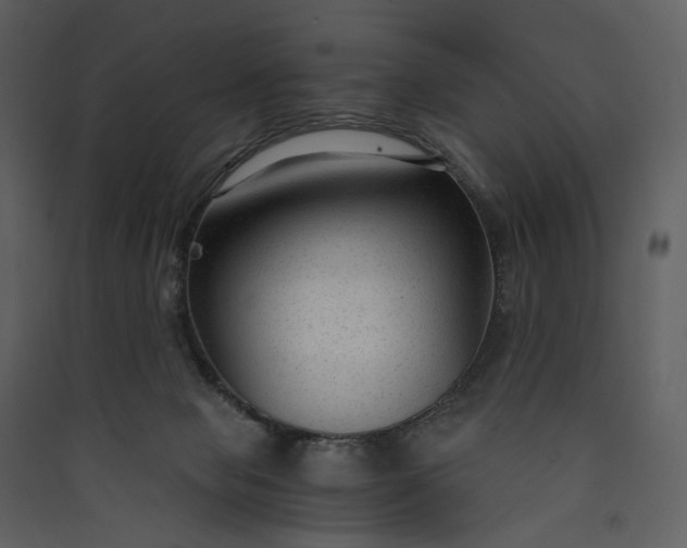 X0000089950077200707131525