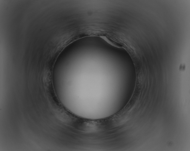 X0000089950079200707131525