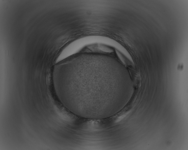 X0000089950080200707131525