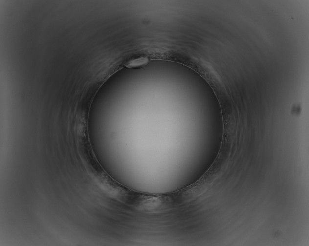 X0000089950083200707131525