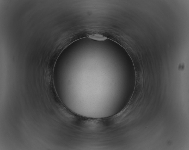 X0000089950086200707131525