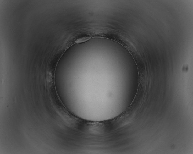 X0000089950087200707131525