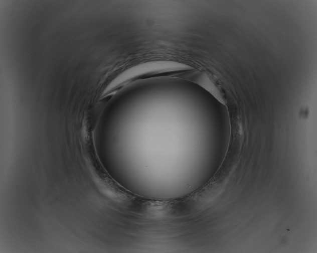 X0000089950088200707131525