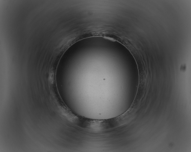X0000089950090200707131525