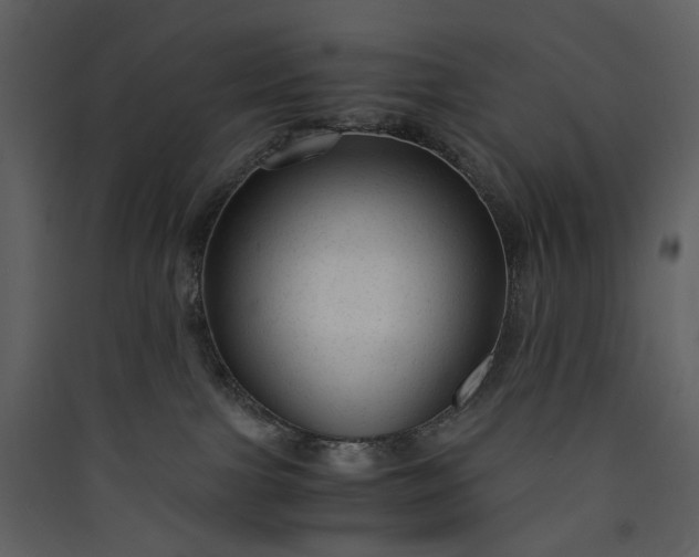 X0000089950091200707131525