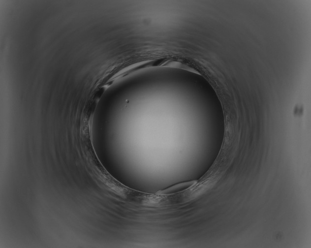 X0000089950096200707131525