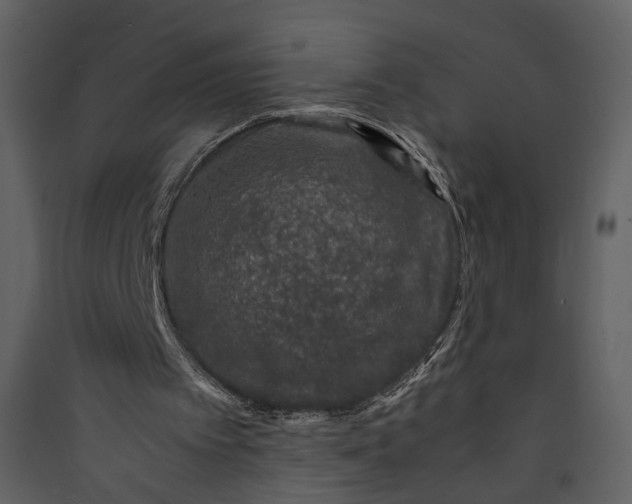 X0000089950097200707131525