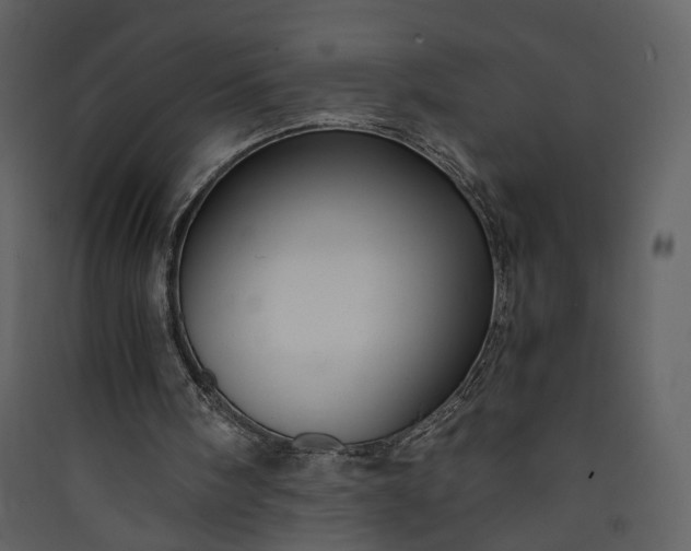 X0000089950098200707131525