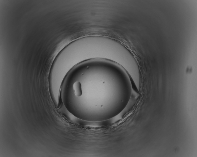 X0000089950099200707131525