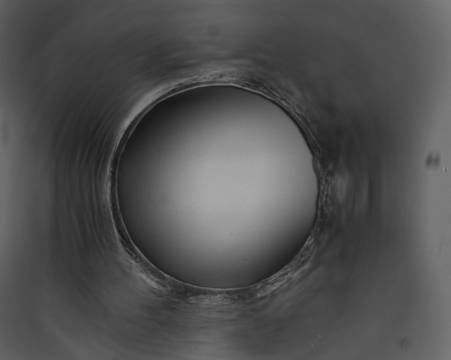 X0000089950100200707131525