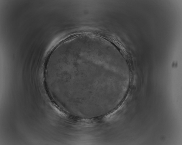 X0000089950101200707131524