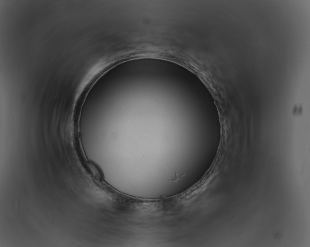 X0000089950102200707131524