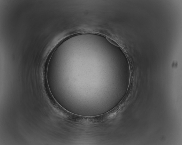 X0000089950103200707131524