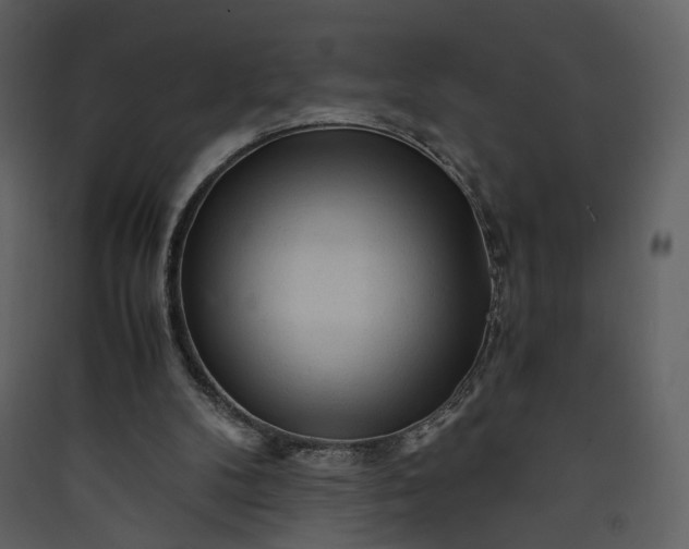 X0000089950104200707131524