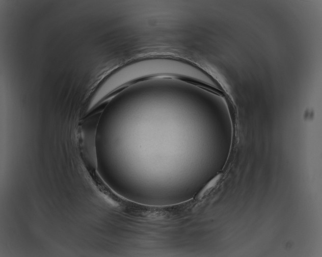 X0000089950105200707131524
