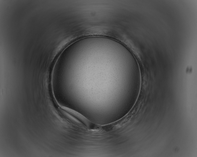 X0000089950107200707131524