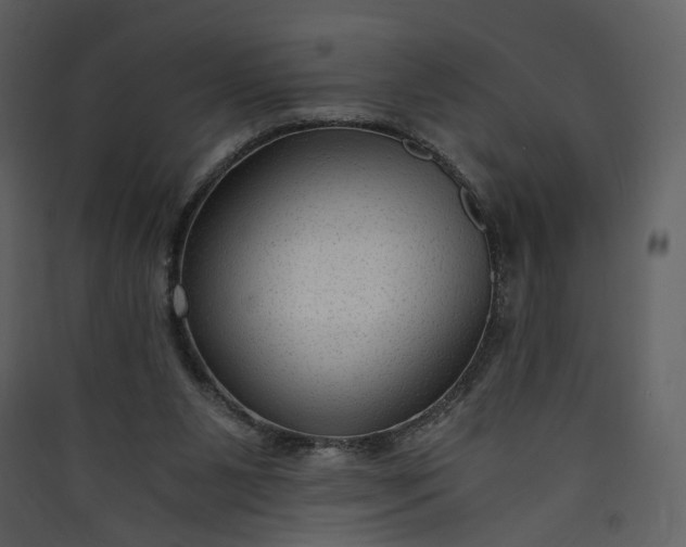 X0000089950111200707131524