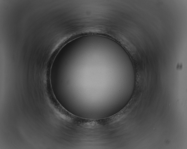 X0000089950112200707131524