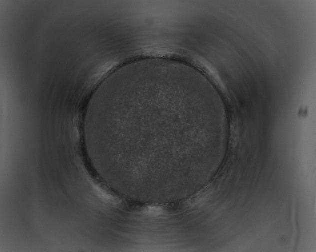 X0000089950114200707131524