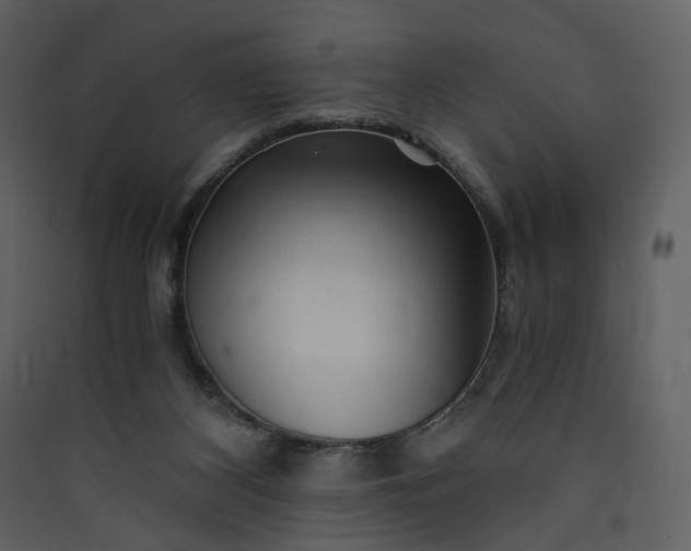 X0000089950116200707131524