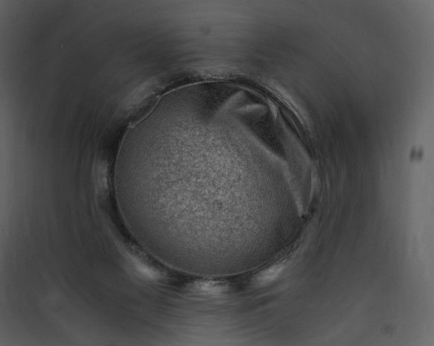 X0000089950117200707131524