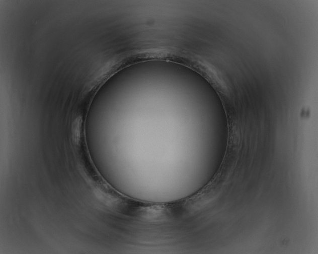 X0000089950118200707131524