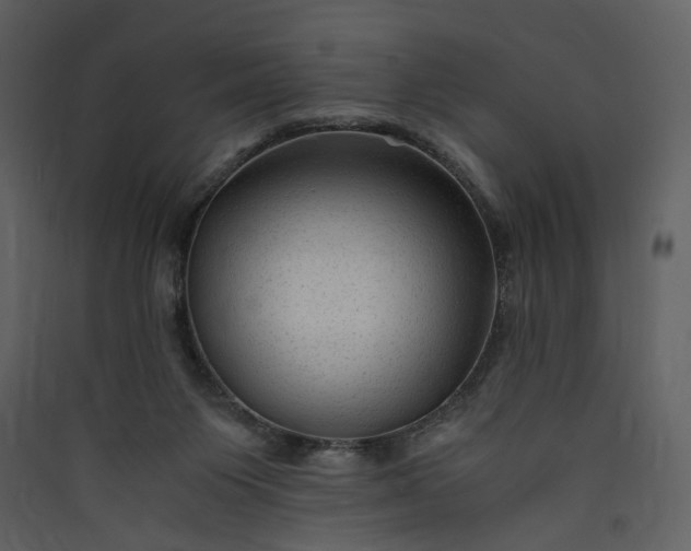 X0000089950119200707131524