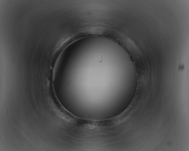 X0000089950120200707131524