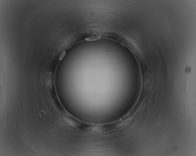 X0000089950121200707131524