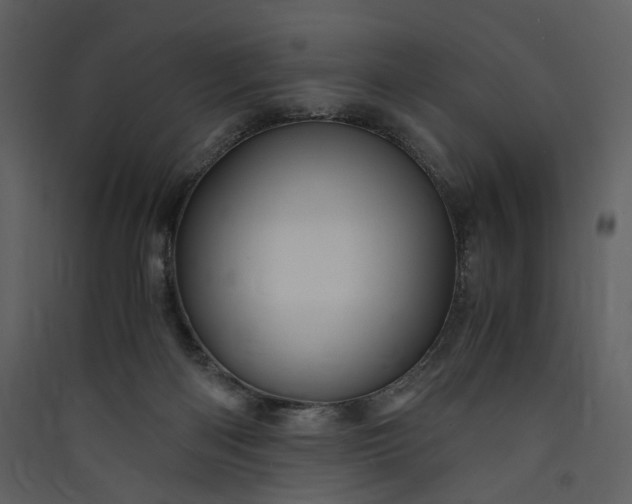 X0000089950122200707131524