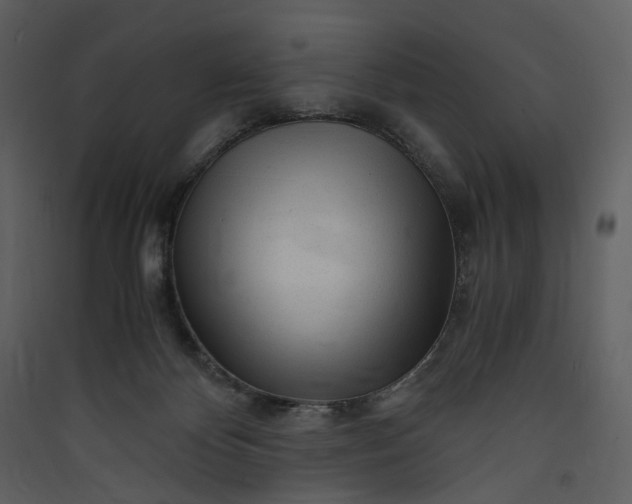 X0000089950124200707131524